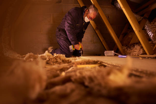 Best Cellulose Insulation  in Hillburn, NY